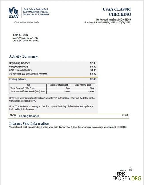 Modèle Word et PDF de relevé de la Banque fédérale d'épargne de l'USAA, version 2